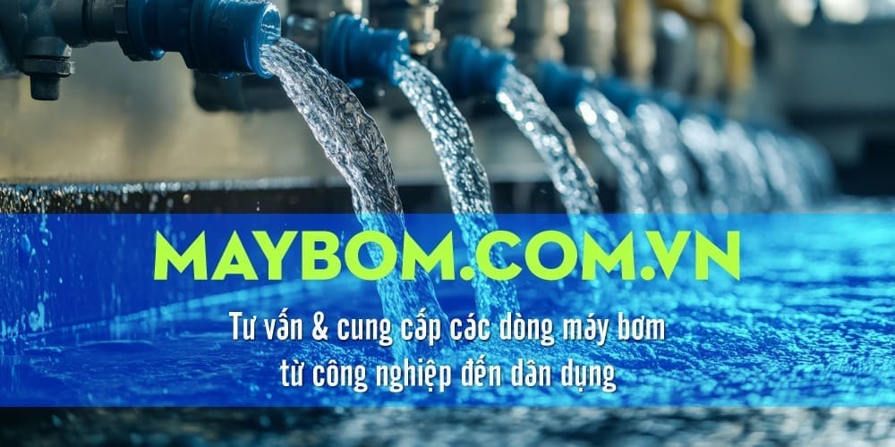 máy bơm maybom.com.vn
